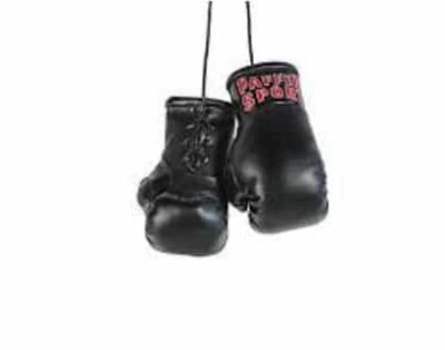 PAFFEN SPORT Mini rękawice bokserskie na lusterko samochodowe